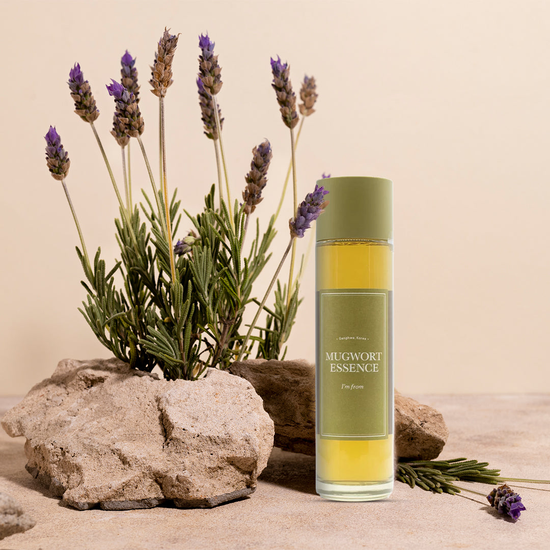 mugwort oil for skin