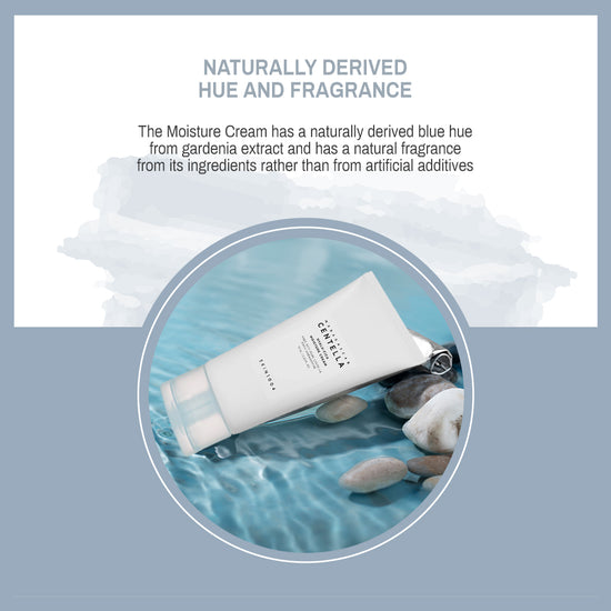 SKIN1004 Hyalu-Cica Moisture Cream
